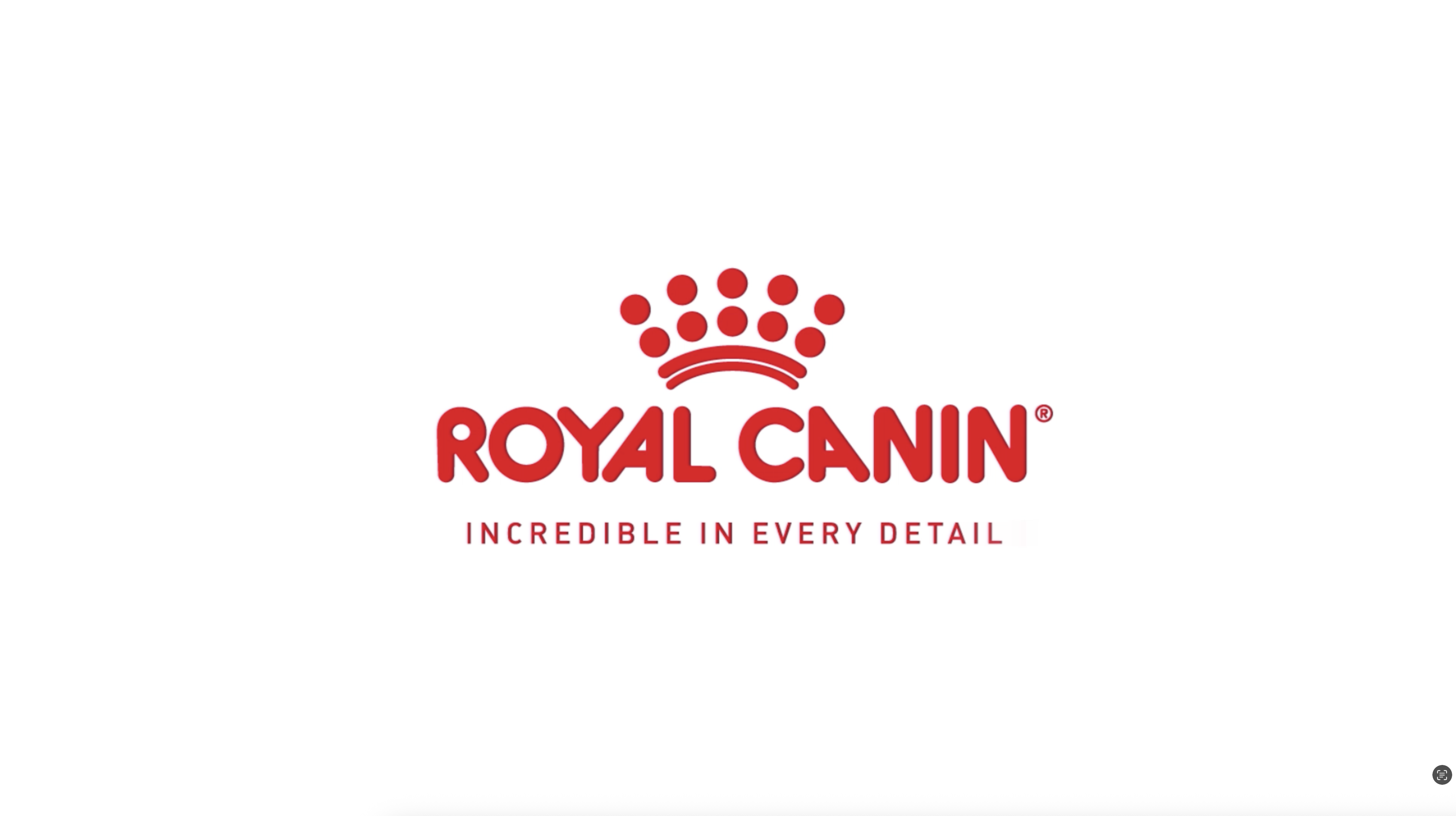Incredible in Every Detail - Royal Canin