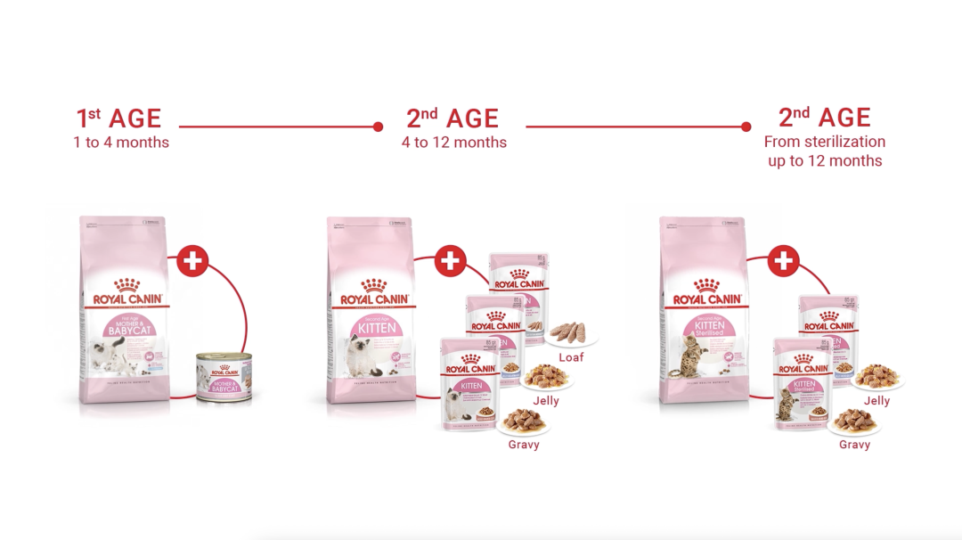 Incredible in Every Detail - Royal Canin